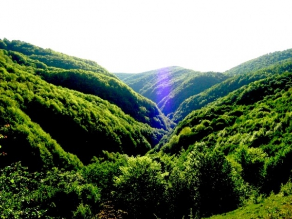 Valea_Sighistelului